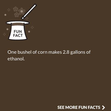 KFFC Fact